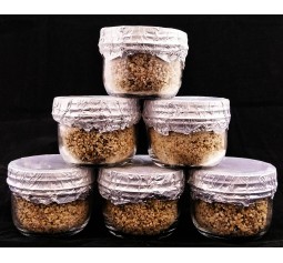 Pre Sterilized BRF (PF Tek) Vermiculite Jars - FREE SHIPPING